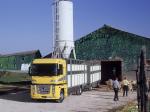 Renault Magnum 2001 года